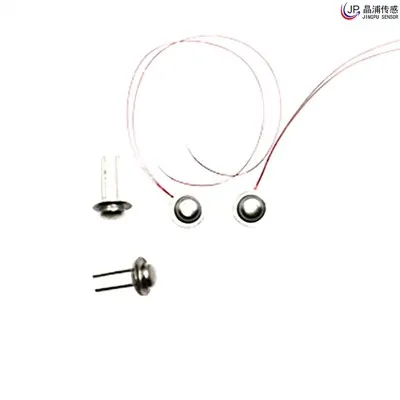 Sensor de temperatura portable